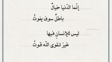 أجمل حكم عن الحياة