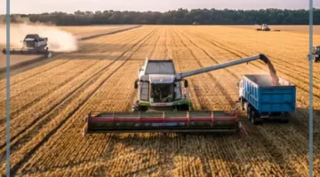 أهم صادرات روسيا