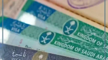 إصدار تأشيرة عمل بالمملكة