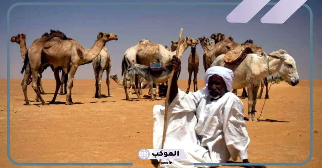 شجرة قبيلة بللسمر 