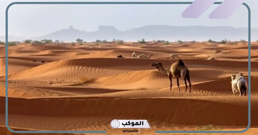 الأسمري يرجع عتيبي 