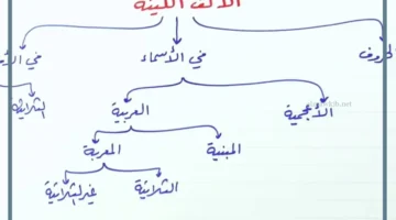 الألف اللينة