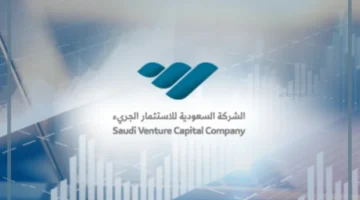 الاستثمار السعودي