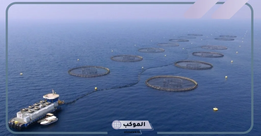 إنتاج 1400 من السمك البلطي في المنطقة الشرقية للمملكة السعودية 