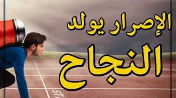 التميز والنجاح