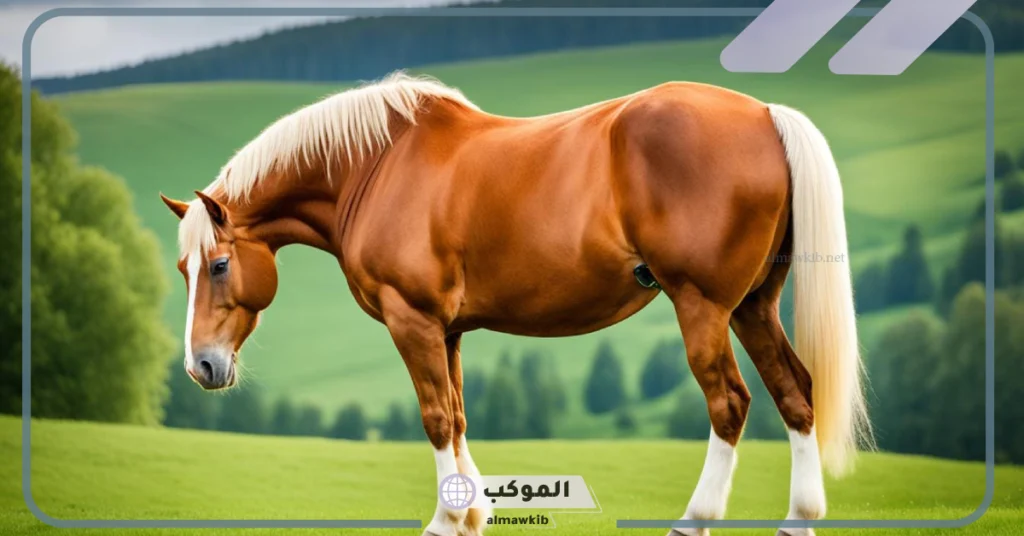 تفسير حلم الحصان البني للعزباء 