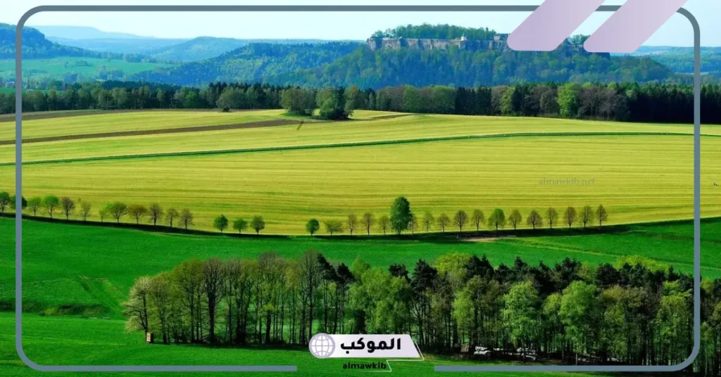 تفسير حلم المشي في أرض خضراء للمتزوجة