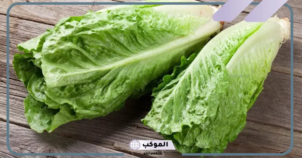 أكل الخس في المنام للرجل