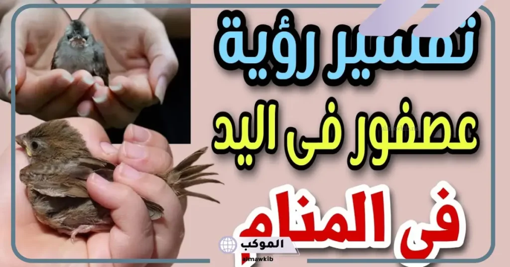 تفسير حلم العصفور في اليد للرجل والمرأة لابن سيرين 6 مسك العصفور في المنام للمتزوجة