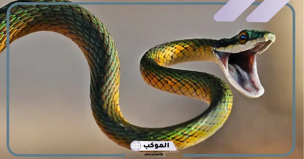 رؤية الثعبان في المنام وقتلة للرجل 