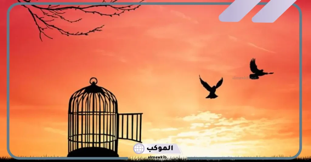 الحمد لله على خروجك من السجن تويتر 