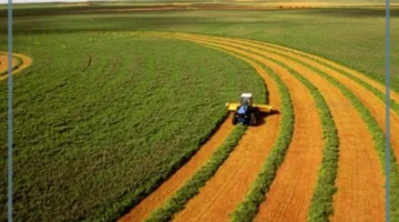 الزراعة بالمملكة