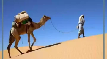الزهيري