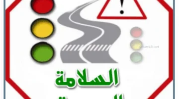 السلامة المرورية