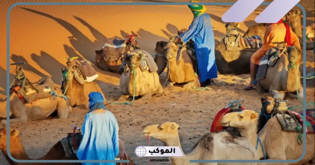 الشبرمي وش يرجعون وأصلهم ونسبهم من وين.. شجرة عائلة الشبرمي 6 بطون وفروع قبيلة الشبرمي