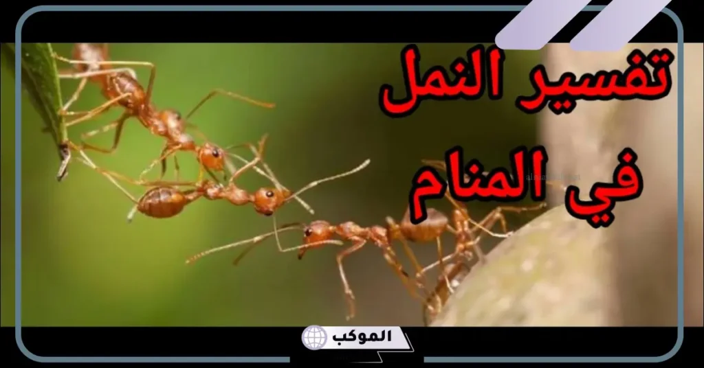 تفسير حلم قرص النمل في المنام للمرأة والرجل لابن سيرين 6 تفسير حلم نمل يقرصني للمتزوجه