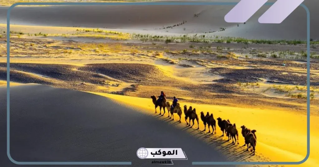 عائلة اليحيى من وين الأصل؟ اليحيى وش يرجعون 5 عائلة اليحيى حائل