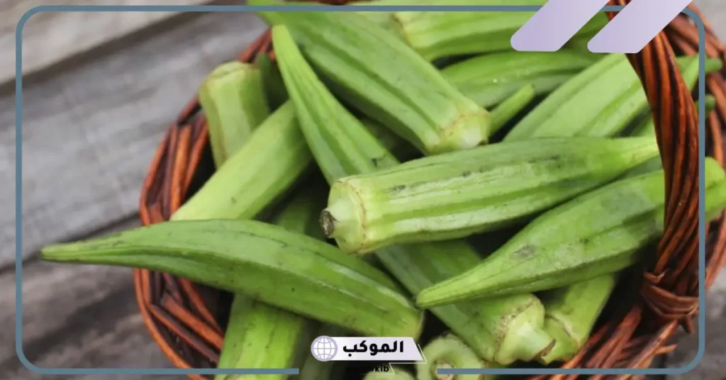 تفسير حلم البامية الخضراء للمطلقة 