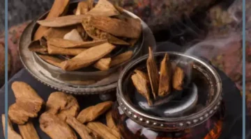 بخور العود في المنام للعزباء
