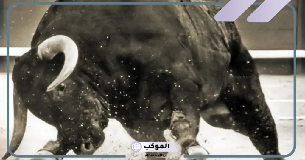 هجوم الثور في المنام للمتزوجة