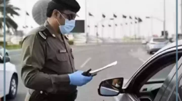 تبيهات على الطرق