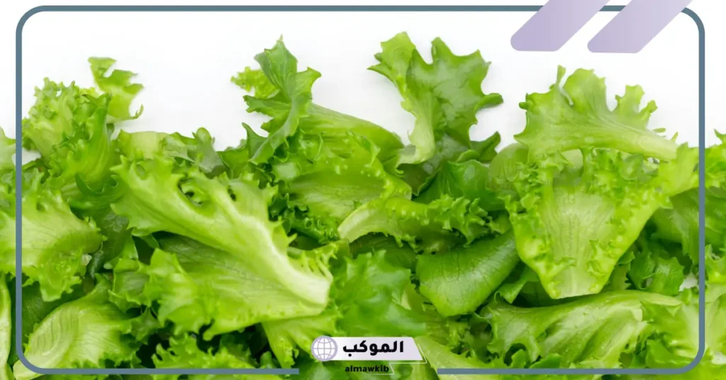 رؤية أكل الخس في المنام للعزباء