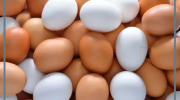 حلمت بالبيض