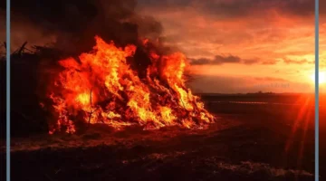 حلمت بالقيامة