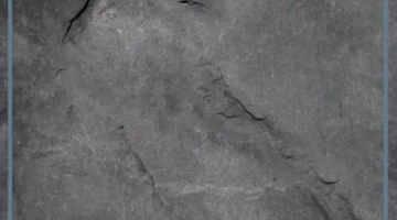 حلمت باللون الرمادي