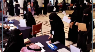 دعم التوظيف