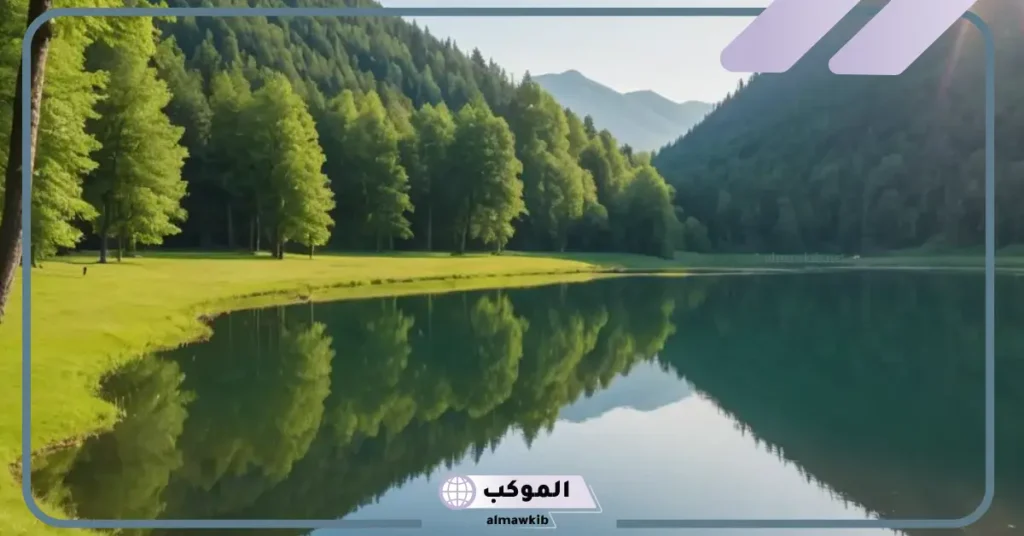 تفسير حلم رؤية الارض الخضراء في المنام لابن سيرين 5 رؤية الارض الخضراء في المنام للعزباء