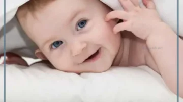 دلالات المولود