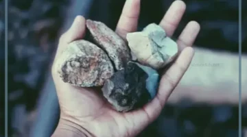 دلالات رمي الحجر