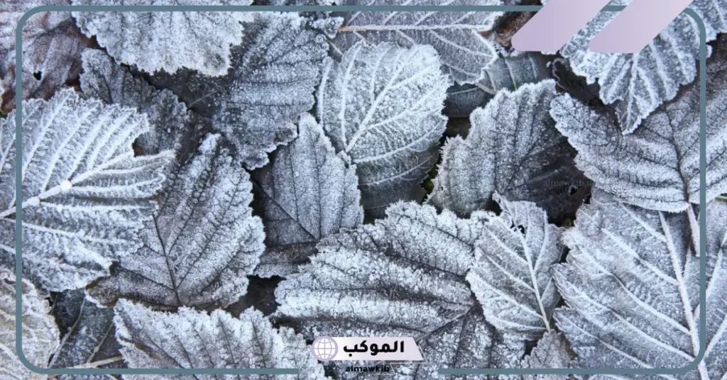 ما تفسير رؤية اللون الرمادي في المنام للمرأة والرجل لابن سيرين 5 رؤية اللون الرمادي في المنام للعزباء