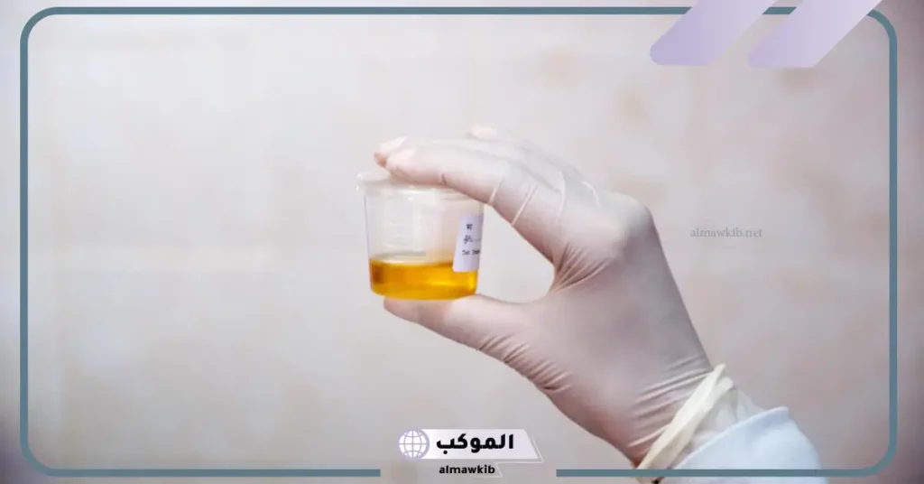 تفسير حلم البول وفيه دم في المنام للرجل والمرأة لابن سيرين والعصيمي 5 تفسير تبول الدم في المنام للعزباء