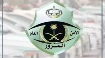 رسوم رخصة السير الجديدة