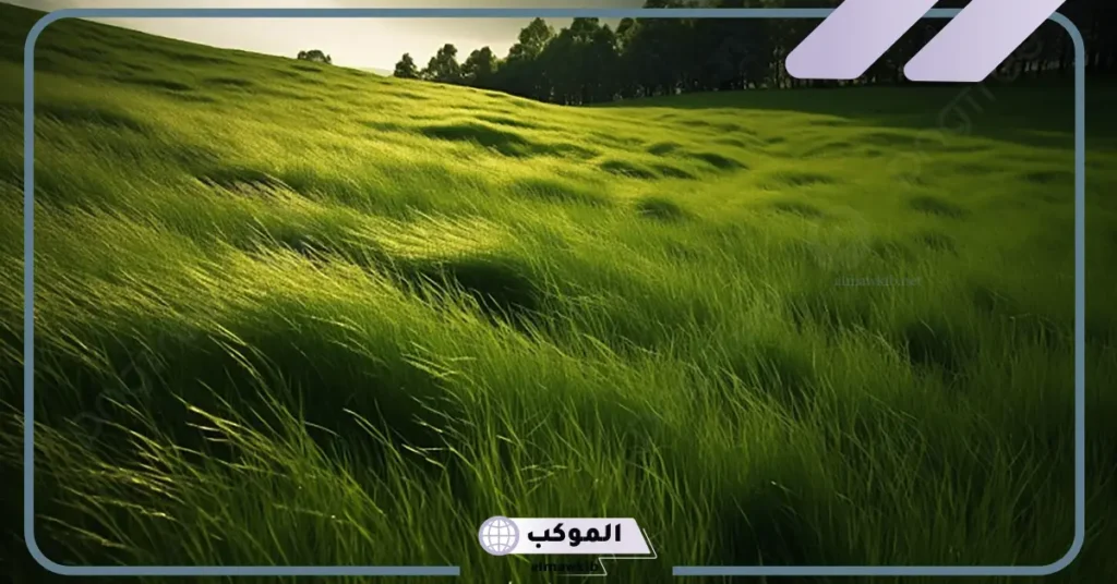 تفسير حلم رؤية الارض الخضراء في المنام لابن سيرين 6 رؤية الخضرة في المنام للمتزوجة