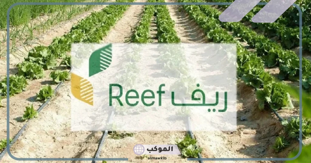 تعرف على شروط تقديم مساعدة مالية تصل إلى 24 ألف ريال سعودي 
