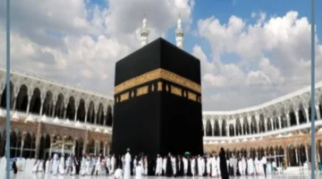 سفري السعودية