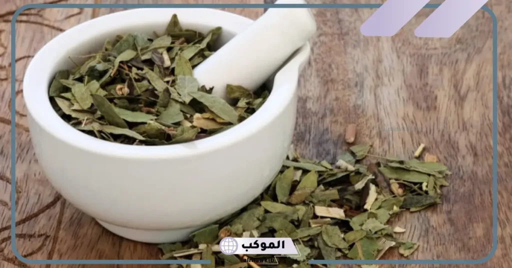 متى يشرب السنامكي قبل الاكل أو بعده؟ 