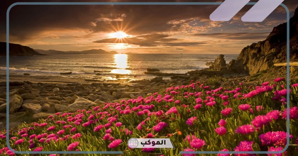 عبارات عن شروق الشمس على البحر 