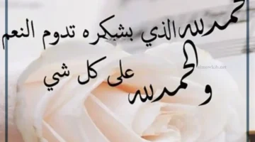 شكر على النعم