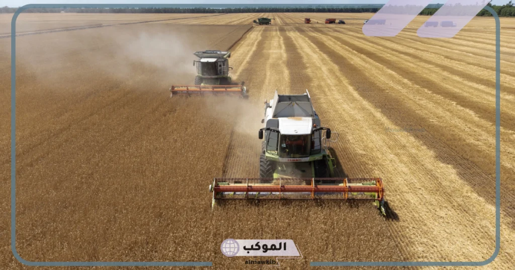 تعرف على أكثر الدول التي قلمت باستيراد الحبوب من روسيا في خلال عام 2024ن وتتصدر في ذلك دولة عربية 