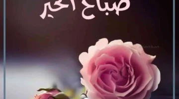 صباح الخير
