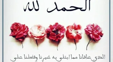 صيغ الحمد والشكر لله