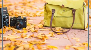 ضياع الشنطة