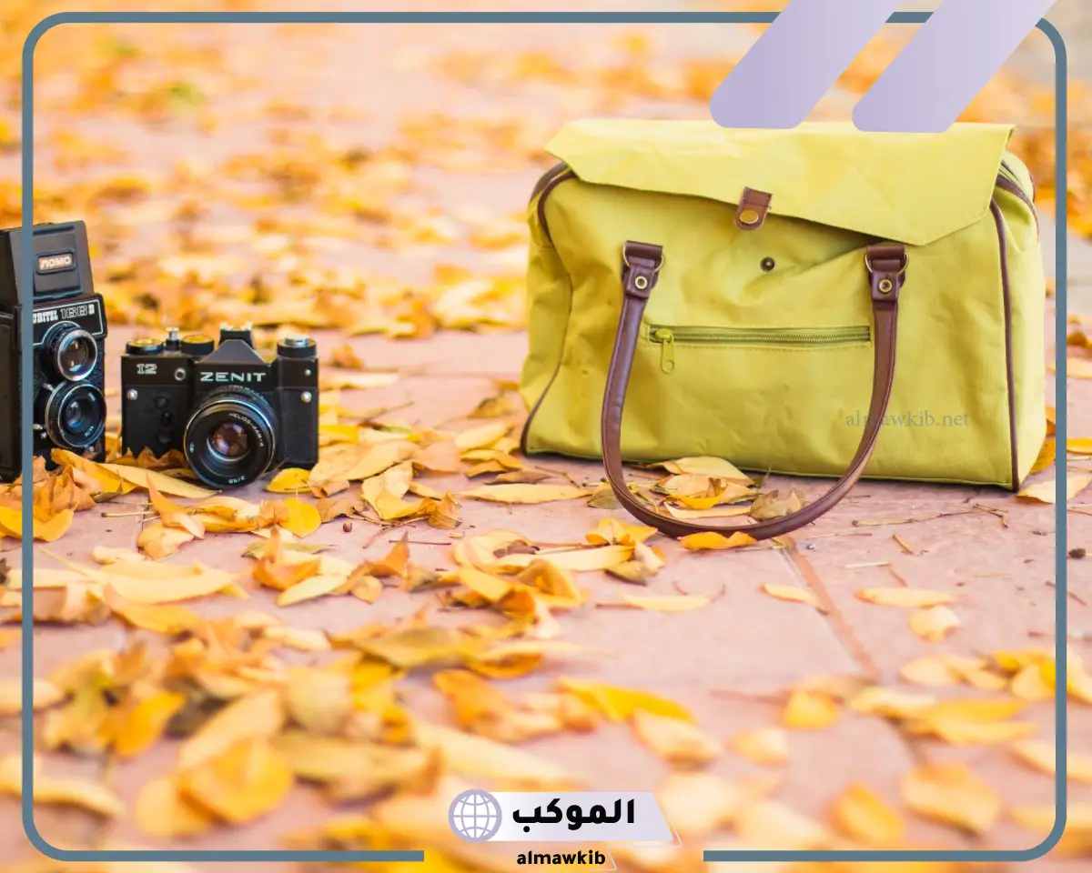 دلالات وتفسير حلم ضياع الشنطة