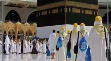 عدد المعتمرين 2024