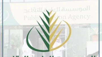 فئات التقاعد في المملكة