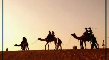 قبيلة البسامي